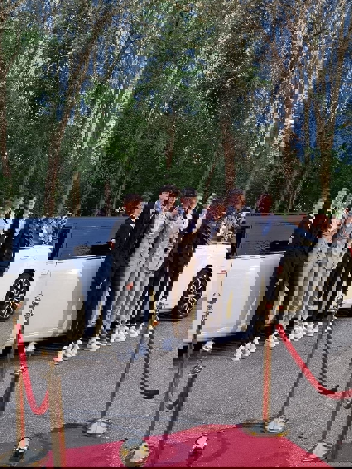 6 (3)