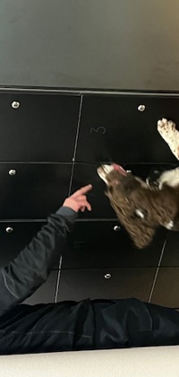 1 (2)