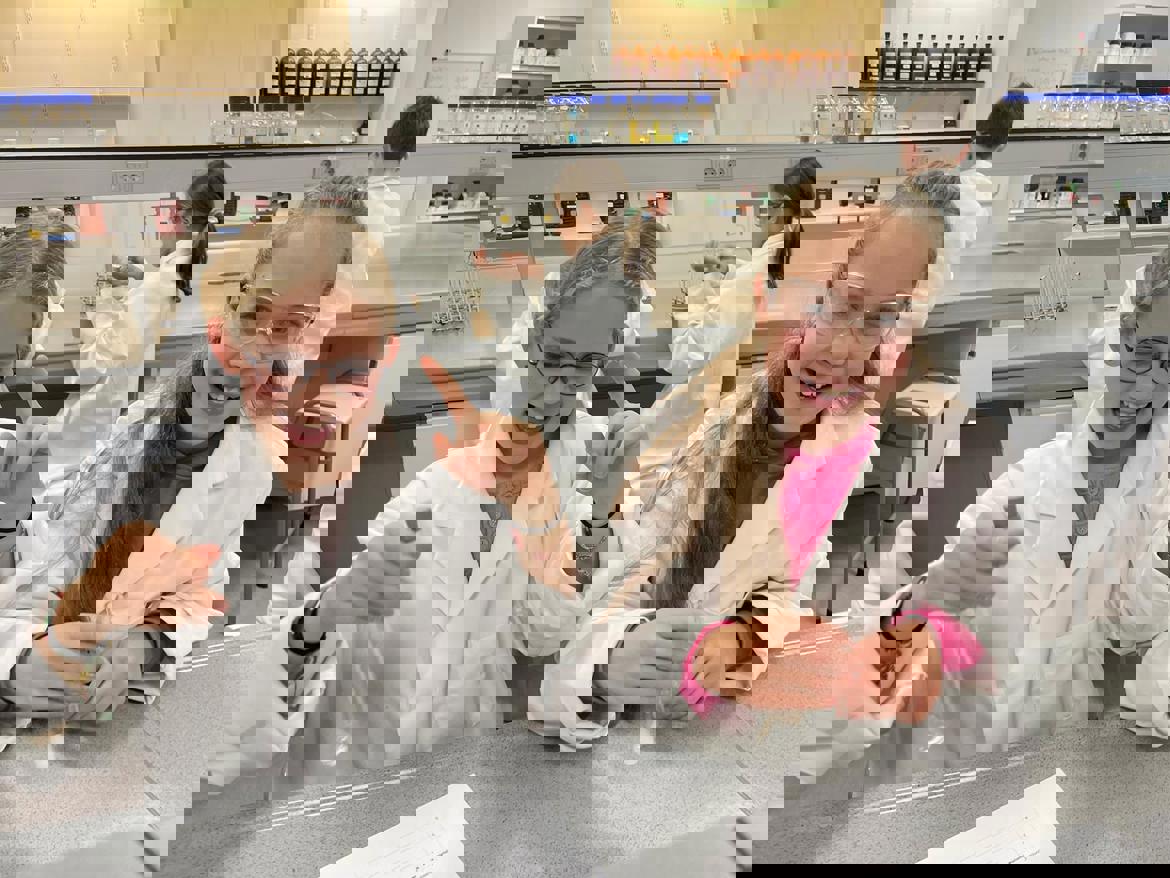 4 (3)