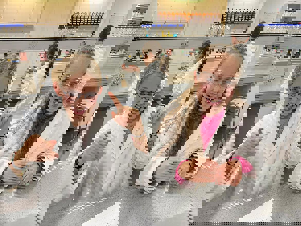 4 (2)